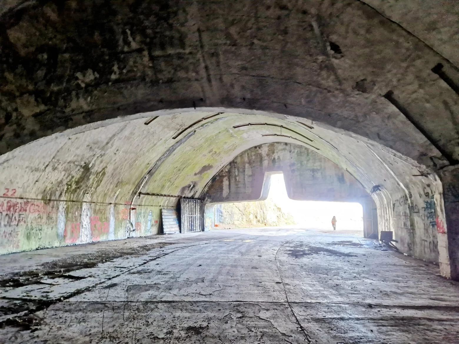 Održan prosvjed protiv namjere da bivši vojni aerodrom Željava bude centar za migrante