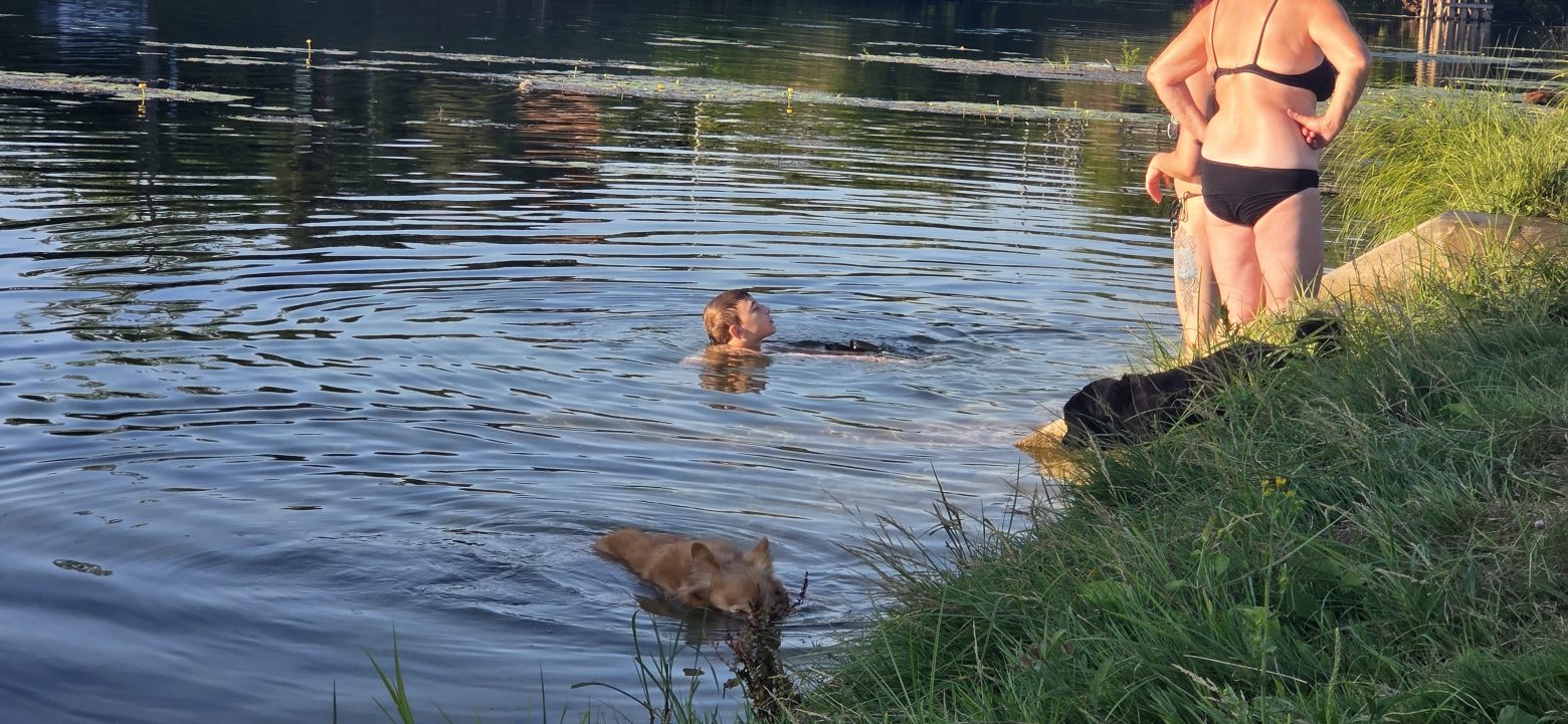 Vlasnici nezadovoljni: Jedino kupalište za pse na Korani u Karlovcu neprikladno